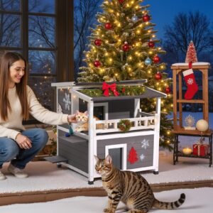 Insulated Outdoor Cat House – 2-Story Wooden