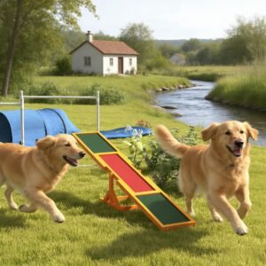 Wooden Dog Agility Seesaw – Outdoor Training Platform