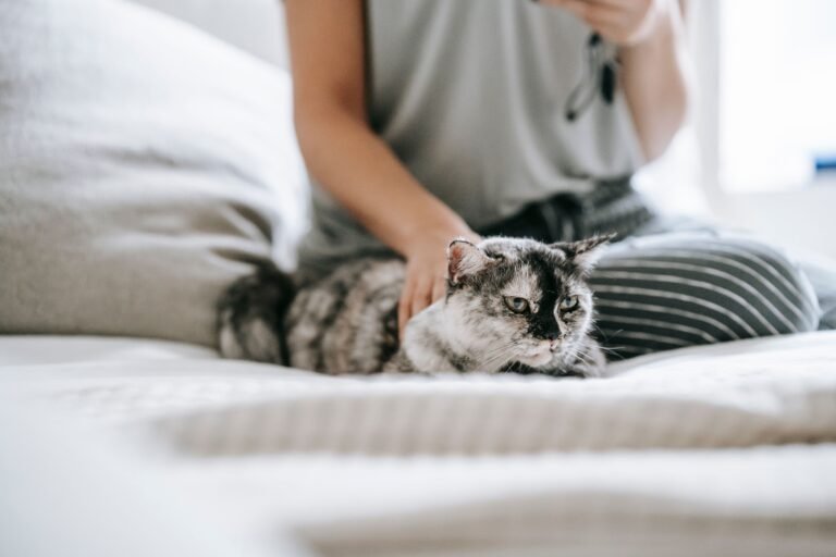 Best Self-Cleaning Litter Boxes (2026): Litter-Robot 4 vs Pura Max 2 vs Neakasa M1