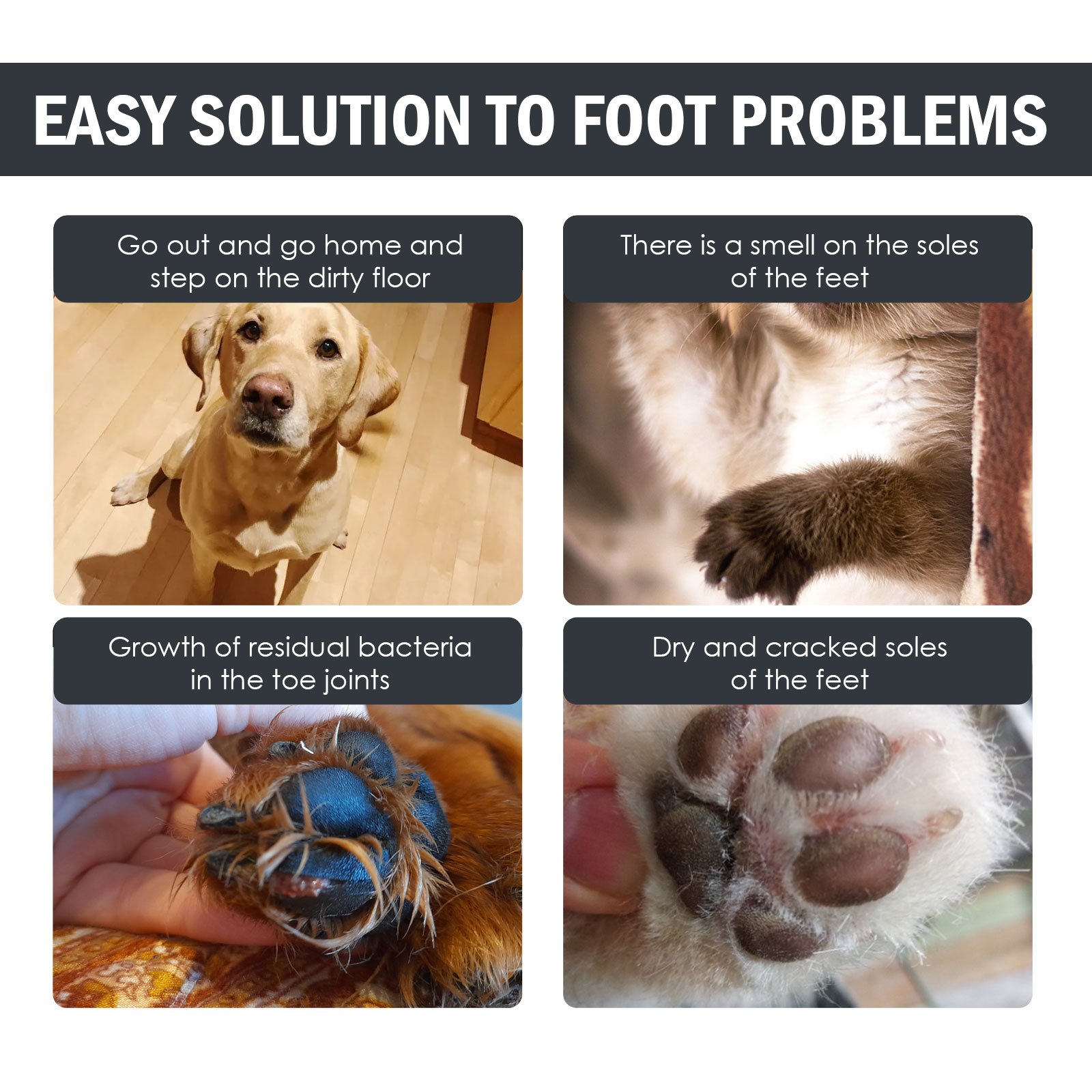 Yegbong Pet Paw Cleaner Foam with Brush Yegbong Pet Paw Cleaner Foam with Brush - Image 5